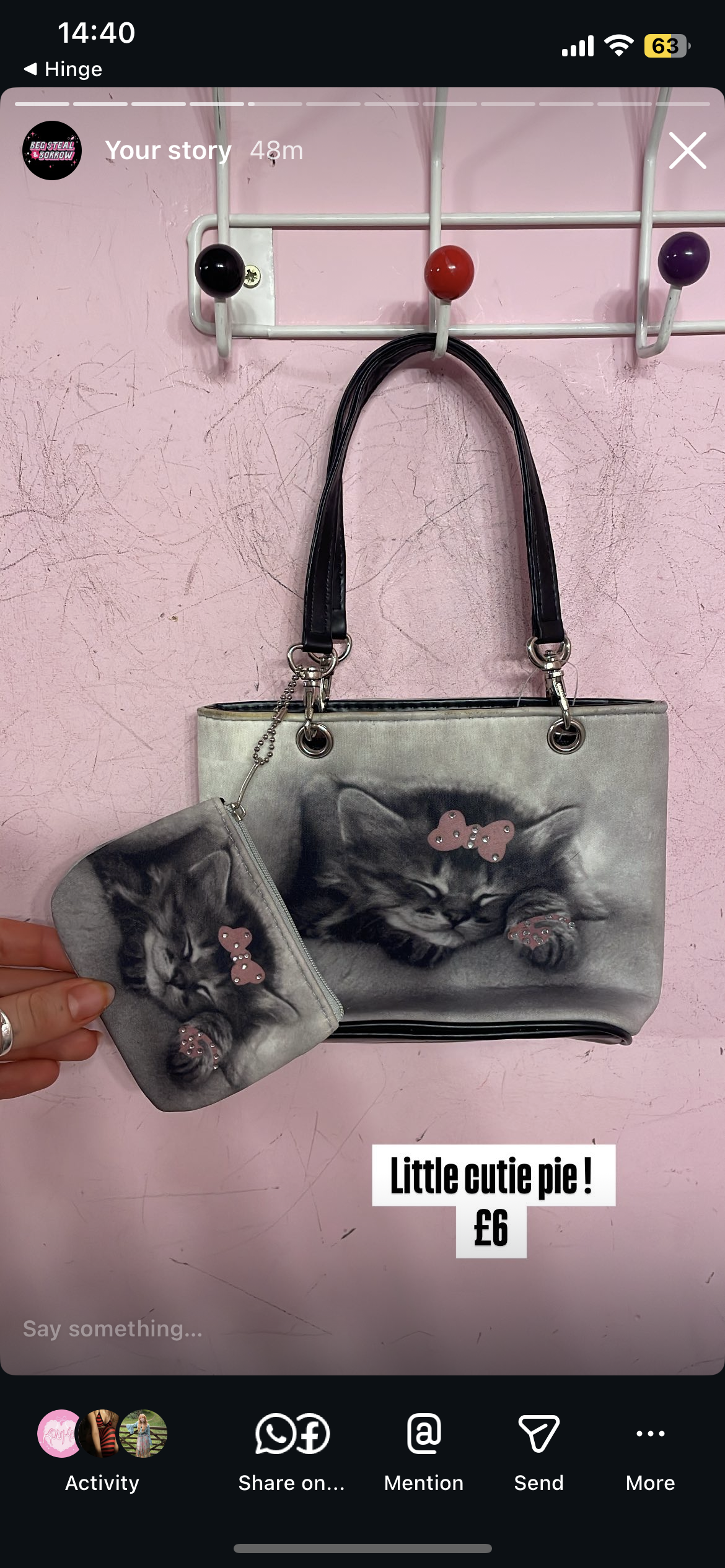 Cat bag purrr