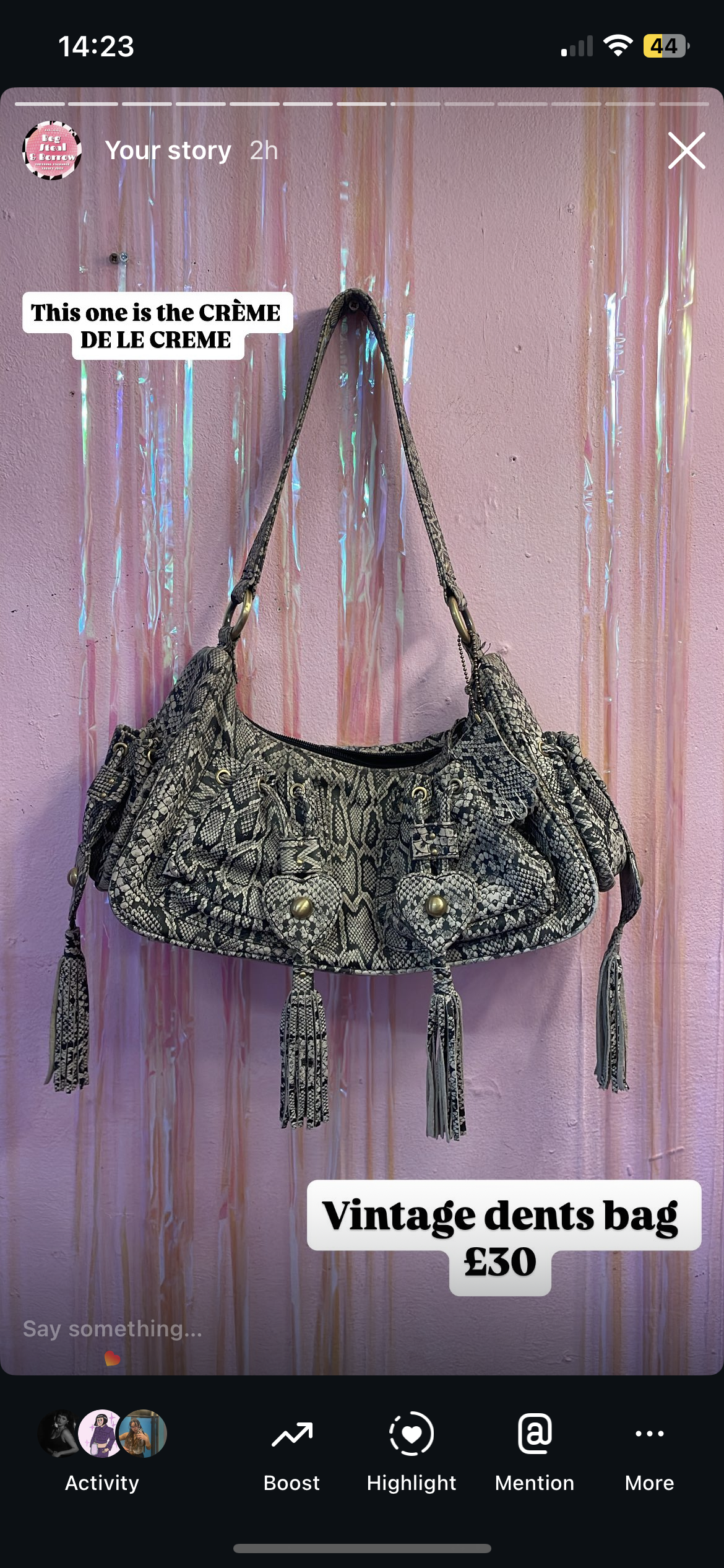 Dents bag