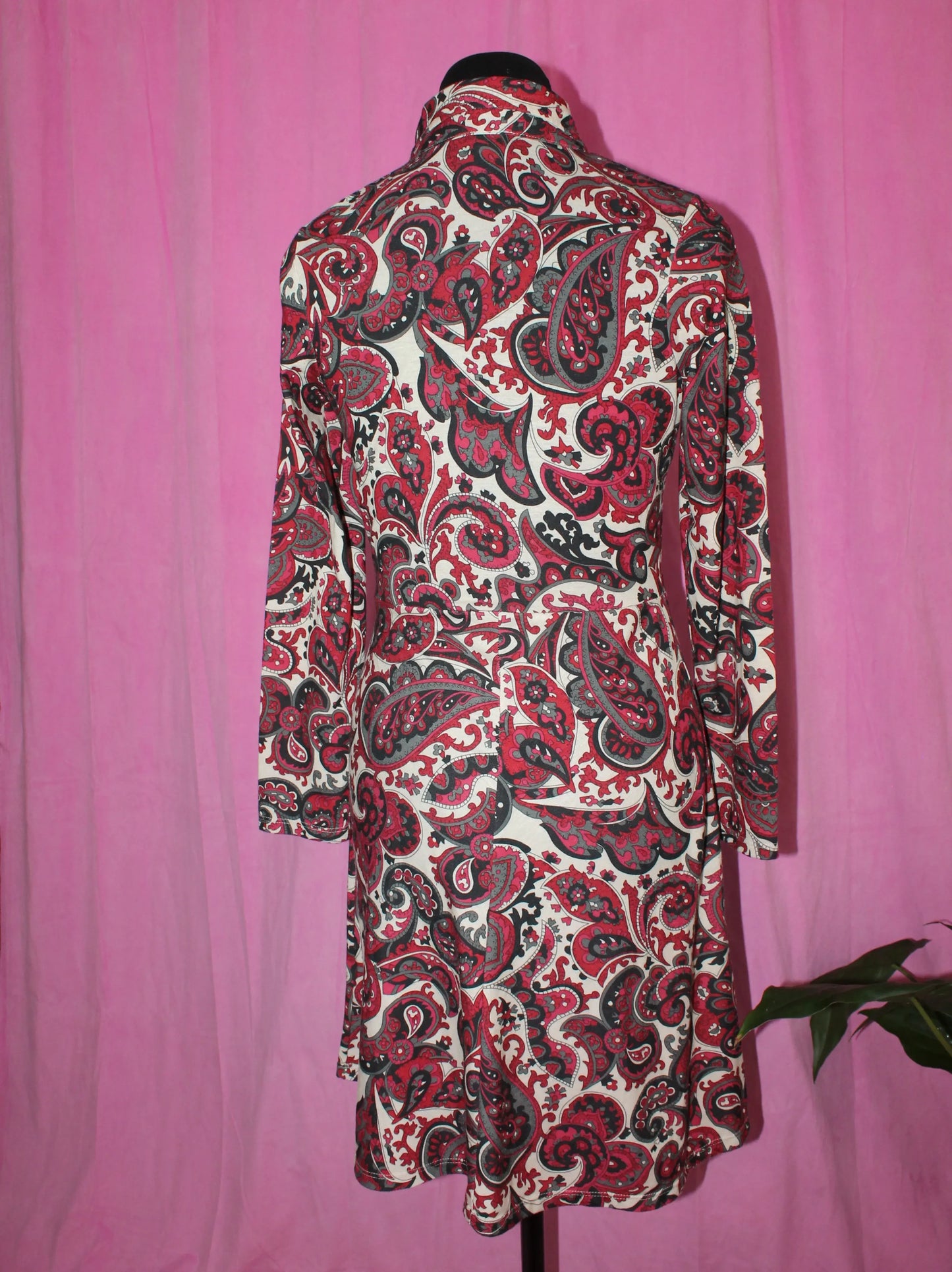 Pop Boutique | Dress | Paisley A-Line | Size S